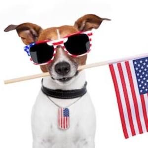 Meet your Posher, Robbin